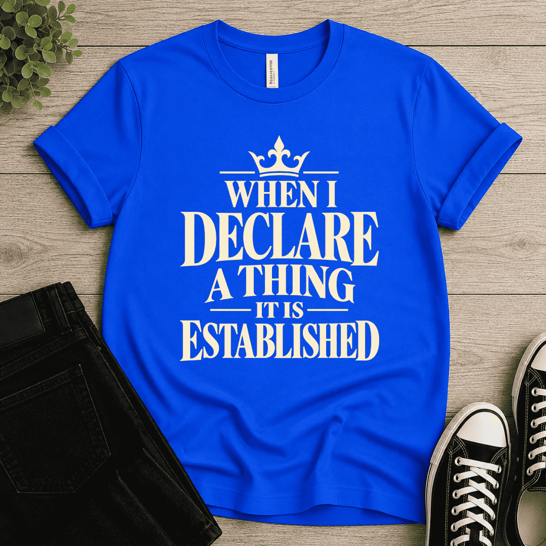 Declare A Thing T-shirt
