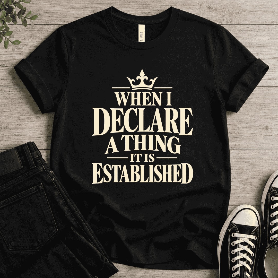 Declare A Thing T-shirt