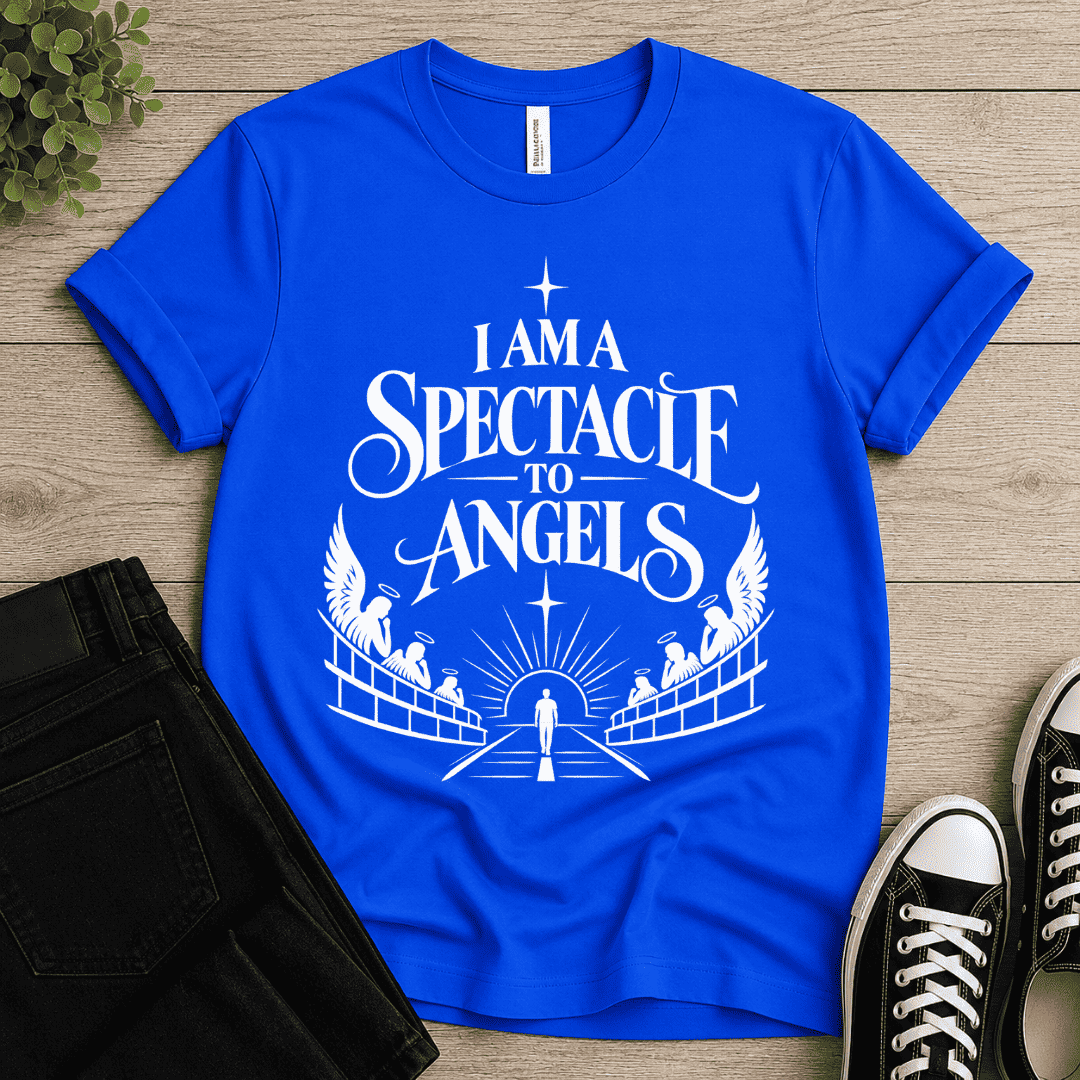 Spectacle To Angel T-shirt