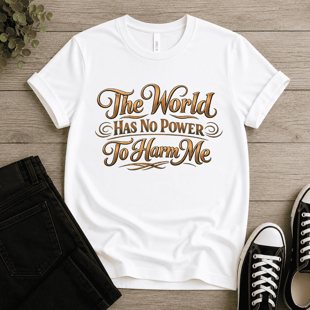 The World Has No Power T-shirt