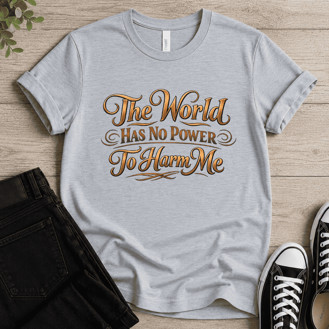 The World Has No Power T-shirt